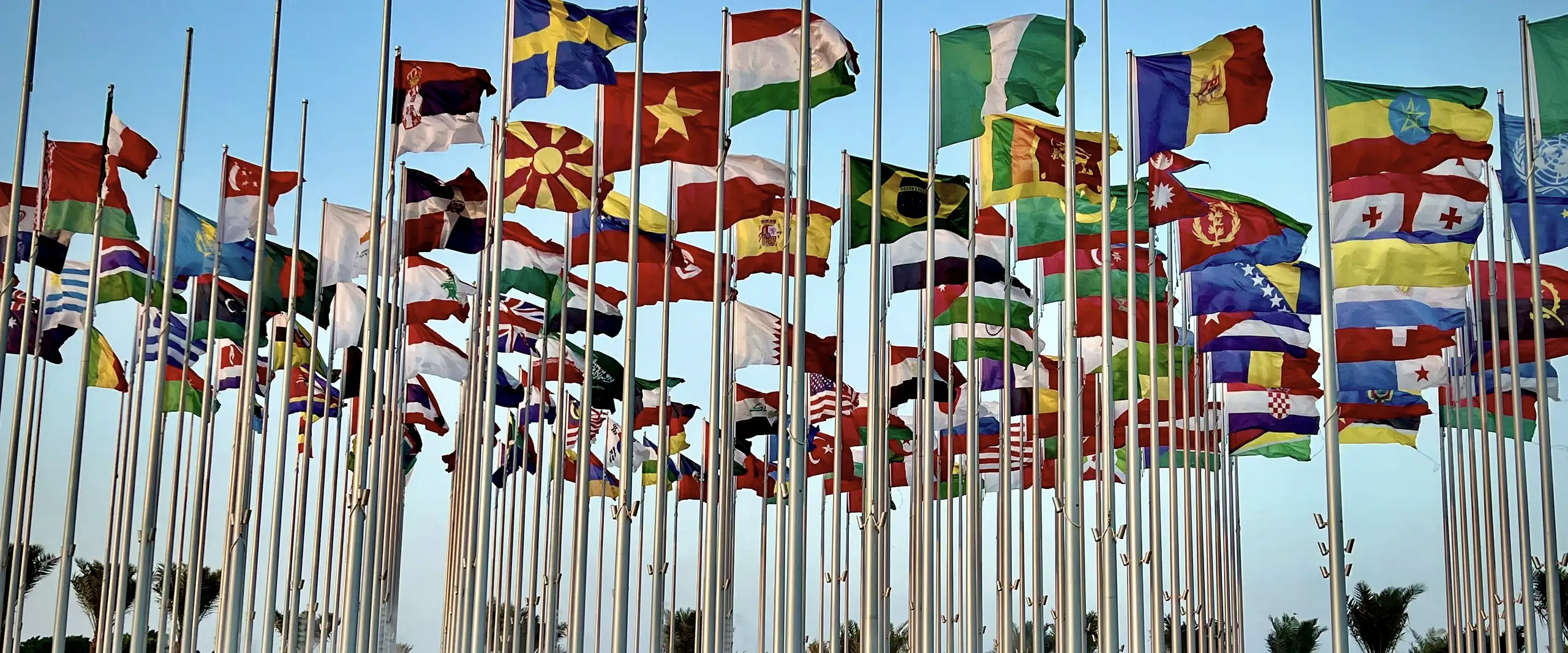 Rows of national flags on poles against a clear sky, above a plaza